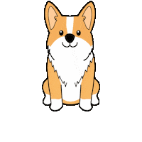 Corgi Cute Dog Sticker by Petique, Inc.