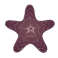 Homer Starfish Sticker by Sharing Alaska