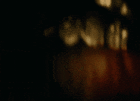 Flex Flexing GIF by New 11