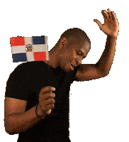 Republica Dominicana Flag Sticker by Franck Arnel