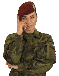 armadaceskerepubliky thinking smart army idea Sticker