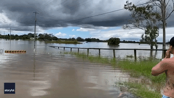 Neighbours Help Save Pregnant Mare From Floods in Queensland