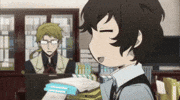 oxo_raccoon bsd dazai bungo stray dogs osamu GIF