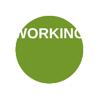 Working Dog Entlebucher Sticker by Hundesport Nubi