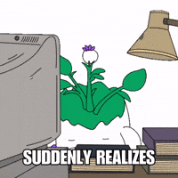 Wake Up Wow GIF by Magic Eden