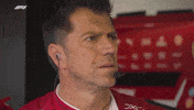 Looking Ferrari F1 GIF