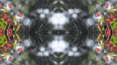 Art Love GIF by jorgemariozuleta