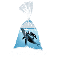 Tartarugas Sticker by Izasoler