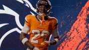Denver Broncos Football GIF by Broncos