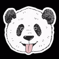 olenavasiv cat dog pig dino GIF