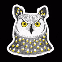 olenavasiv cat dog pig dino GIF