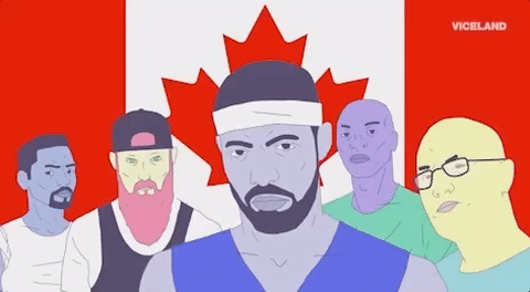 drake canada GIF by Party Legends