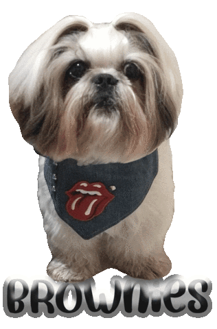 Dog Brownies Sticker