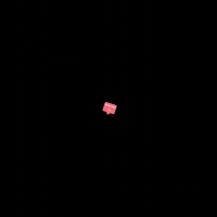 PinkClove  GIF