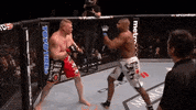 ufc  GIF
