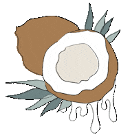 woodenwickco vegan diy lit create Sticker