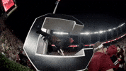 Chicken Mascot GIF by University of South Carolina
