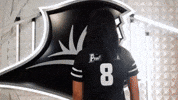 Volleyball Ava GIF by Providence Friars