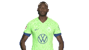 Komm Schon Hurry Up Sticker by VfL Wolfsburg