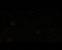 New Haven Fire GIF by District Dave