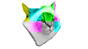 Cat Twitch Sticker by Temple Caché