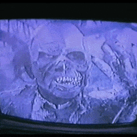 the video dead horror movies GIF by absurdnoise