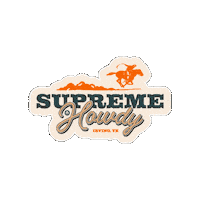 Texas Howdy Sticker by Supreme Lending