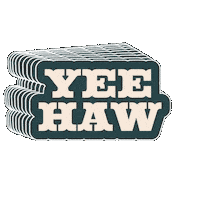 Texas Howdy Sticker by Supreme Lending