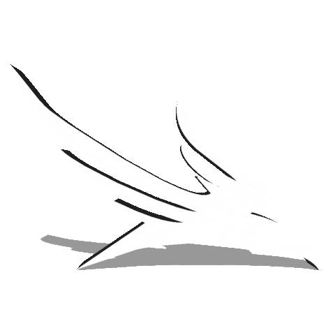 robert falcon bird Sticker