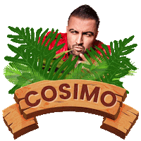 Reality Camp Sticker by NEVITALY