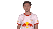 Stop Talking Red Bull Sticker by FC Red Bull Salzburg