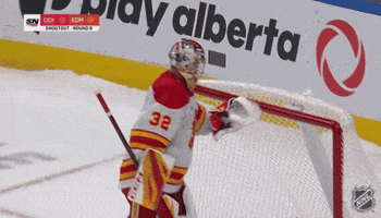 Happy National Hockey League GIF by NHL