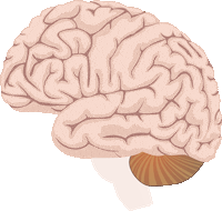 Brain Ae Sticker by Moreira Merlo