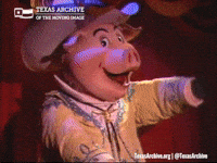 Six Flags 80S GIF by Texas Archive of the Moving Image