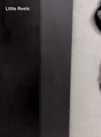 Dance Tamil GIF