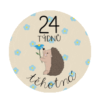 Im Pregnant 24 Weeks Sticker