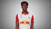 Fan Fecher GIF by FC Red Bull Salzburg