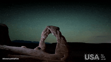 america wild GIF by Go USA Kr