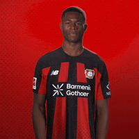 Bayer 04 Shut Up GIF by Bayer 04 Leverkusen