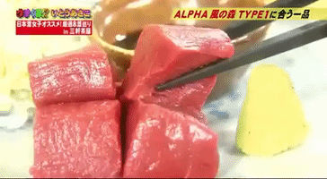 Television Japan GIF