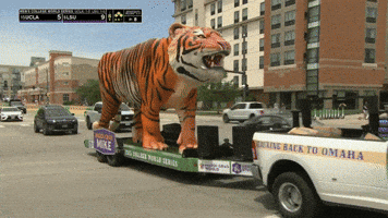 College Baseball GIF by NCAA Championships