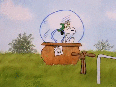 charlie brown GIF by Peanuts