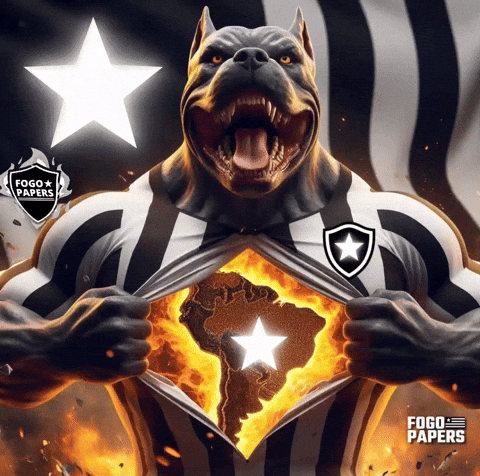 Libertadores Bfr GIF