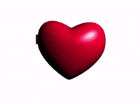 Pittsburgh Penguins Heart Locket GIF