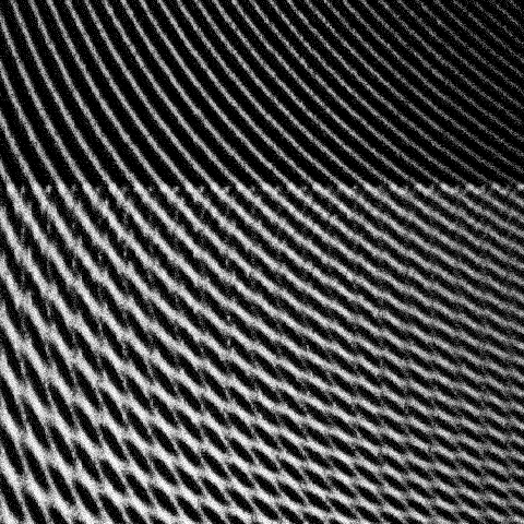animation design GIF by Thomas L Ricci