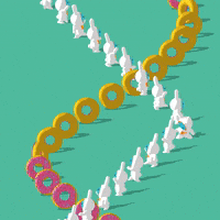 kunichang donut loopartcritique2023 space rabbit spacerabbit GIF