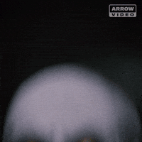 Stephen King Hello GIF by Arrow Video