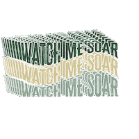 Eagles Sticker by Plain Local Schools