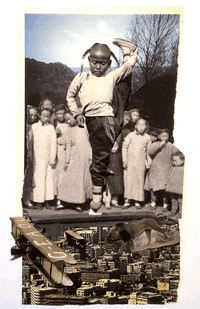CokCoq show lion plane collage GIF