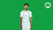 Celebration Goal GIF by SpVgg Greuther Fürth